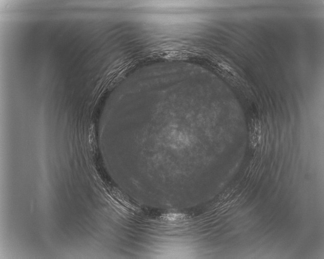 X0000056000748200509162317