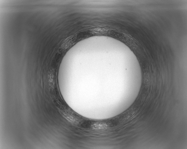 X0000056000749200509162317