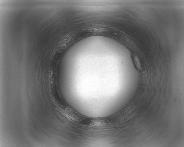 X0000056000750200509162317