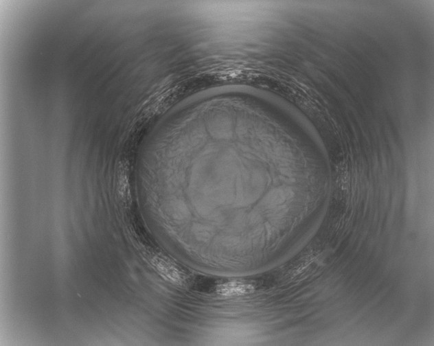 X0000056000754200509162317