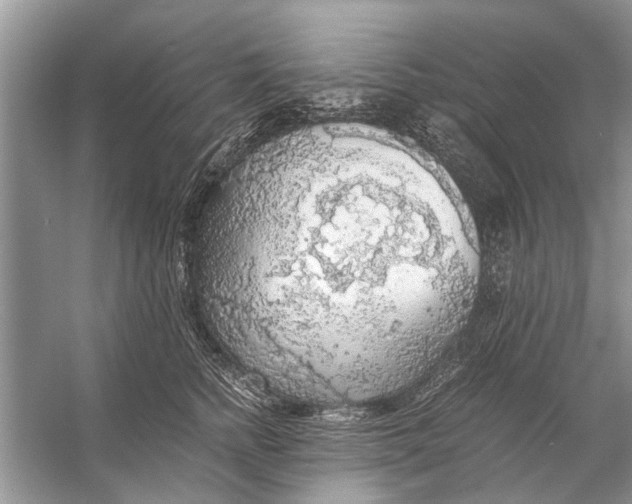 X0000056000758200509162317