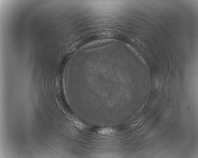 X0000056000759200509162317