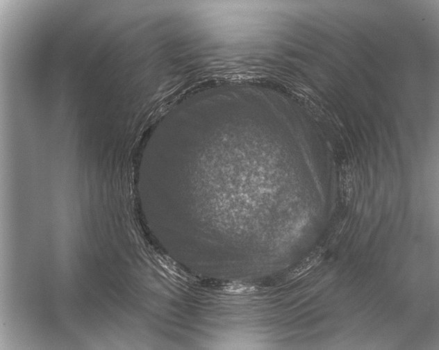 X0000056000760200509162317