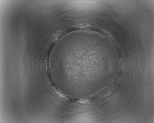 X0000056000762200509162317