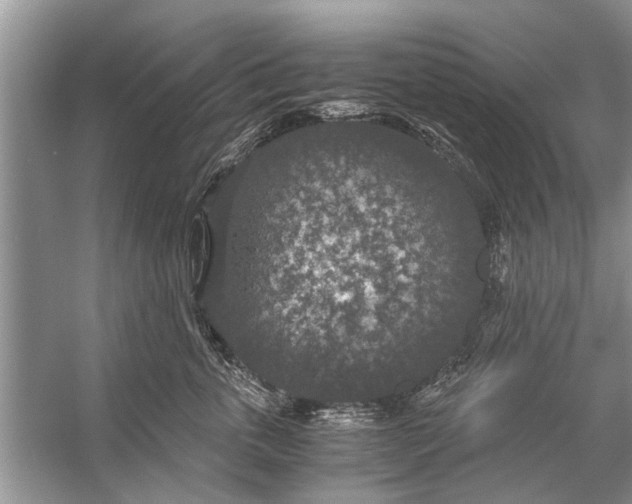 X0000056000763200509162317