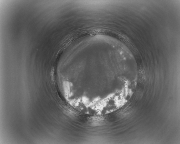 X0000056000765200509162317