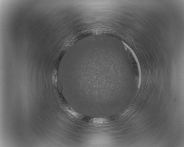 X0000056000766200509162318