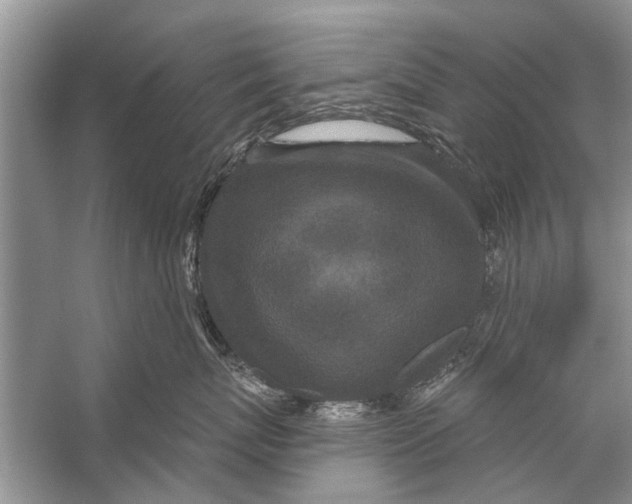 X0000056000767200509162318