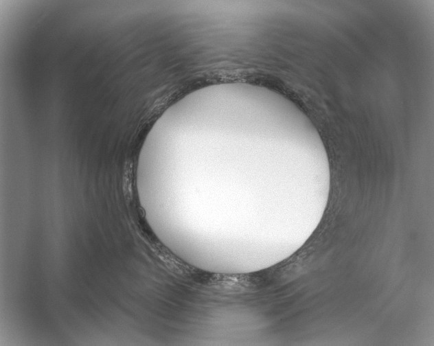 X0000056000768200509162318