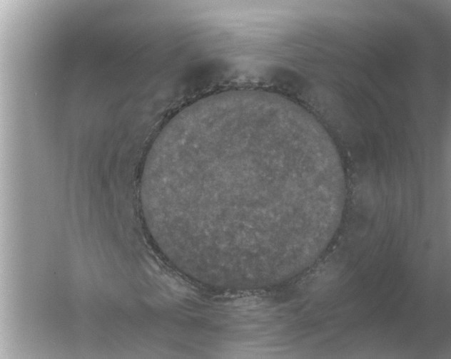 X0000056000769200509162317