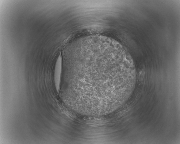 X0000056000772200509162317