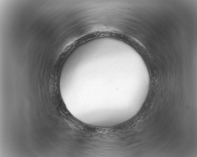 X0000056000775200509162317