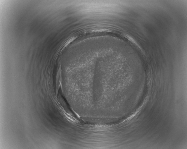 X0000056000777200509162317