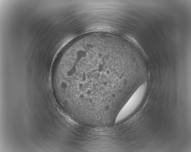 X0000056000780200509162317