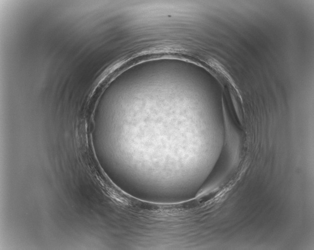 X0000056000781200509162317