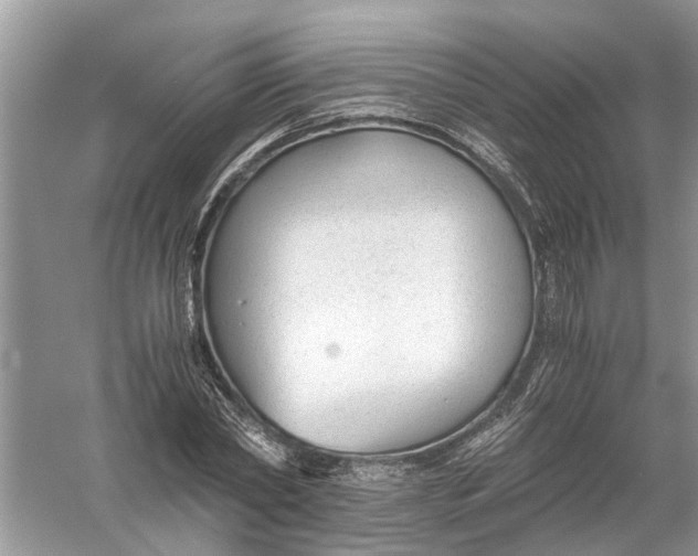 X0000056000782200509162316