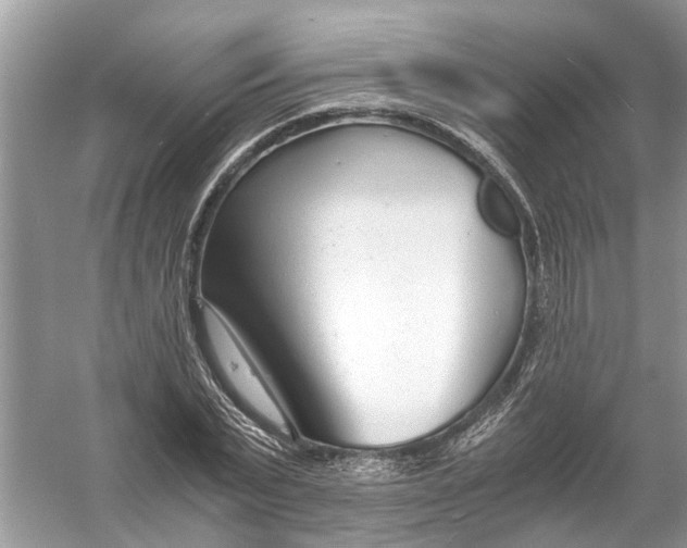 X0000056000783200509162316