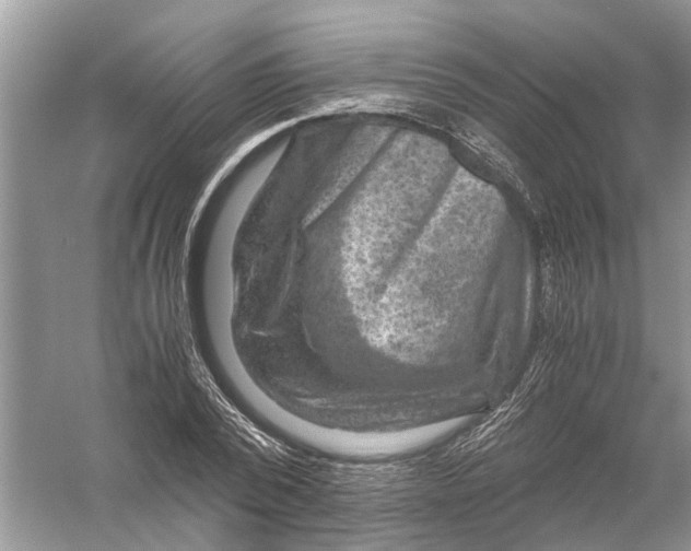 X0000056000784200509162316