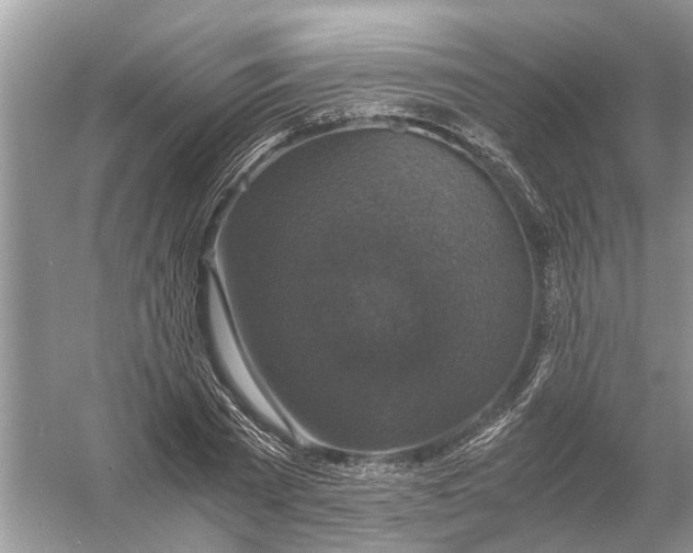 X0000056000785200509162316