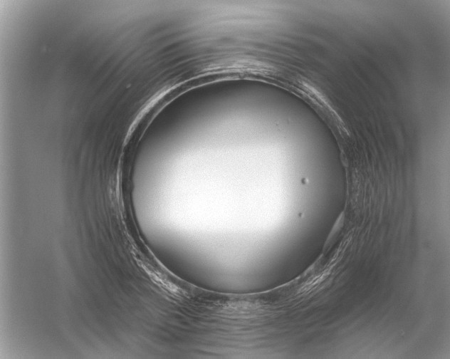 X0000056000788200509162316