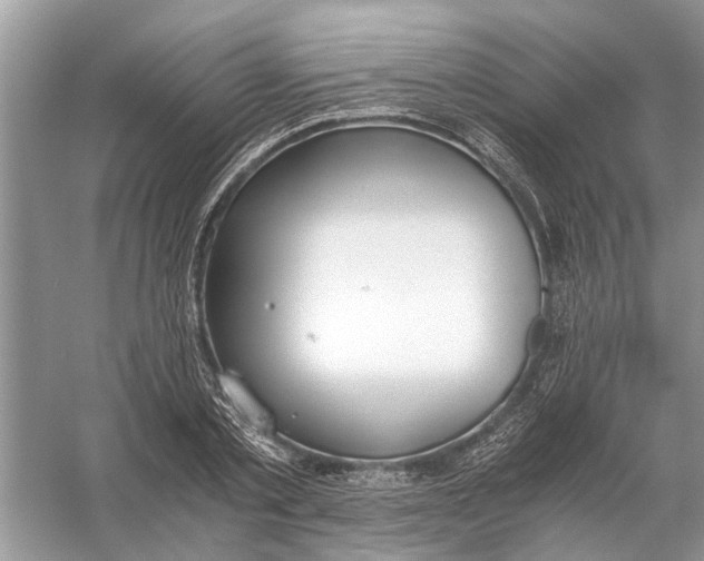 X0000056000789200509162316