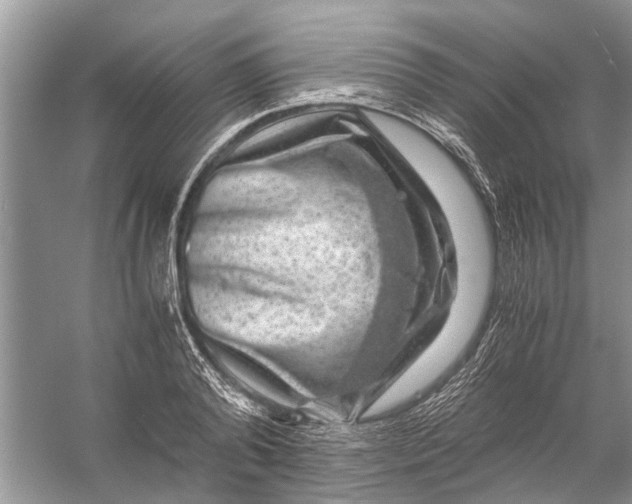 X0000056000792200509162316