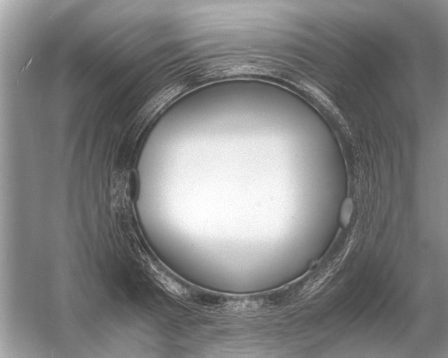 X0000056000793200509162316