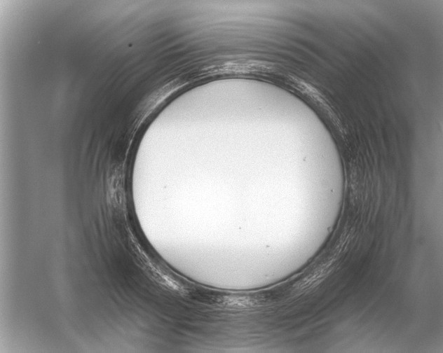 X0000056000794200509162316