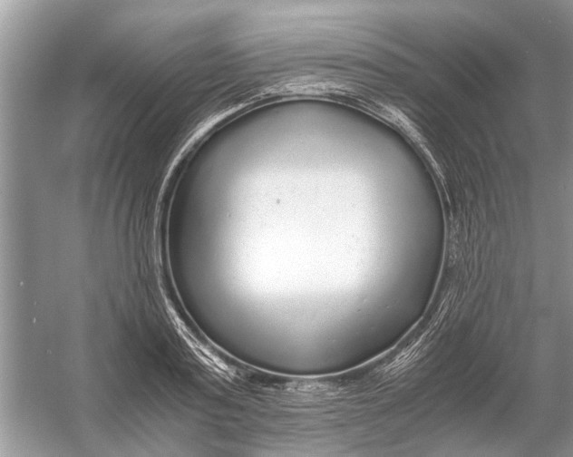 X0000056000795200509162316