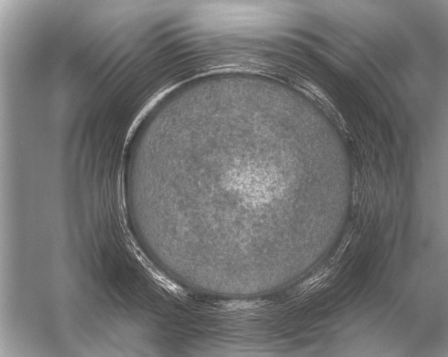 X0000056000796200509162316