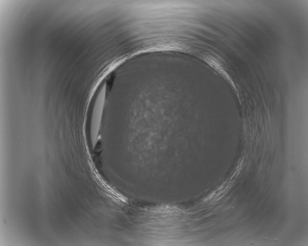 X0000056000797200509162316