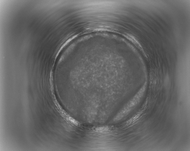 X0000056000798200509162316