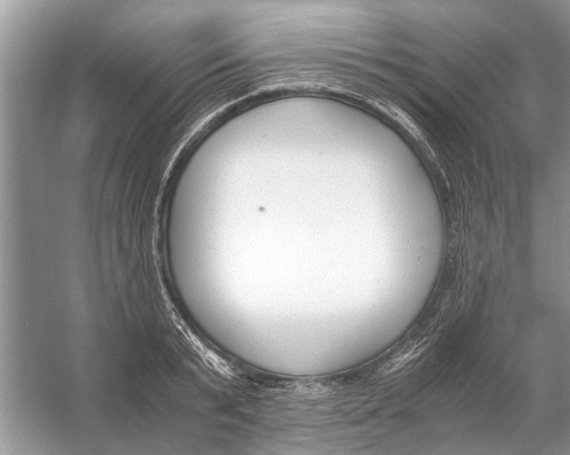 X0000056000799200509162316