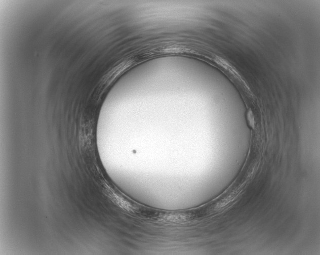 X0000056000801200509162316