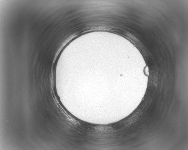 X0000056000804200509162316