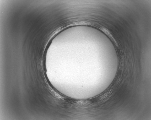 X0000056000805200509162316