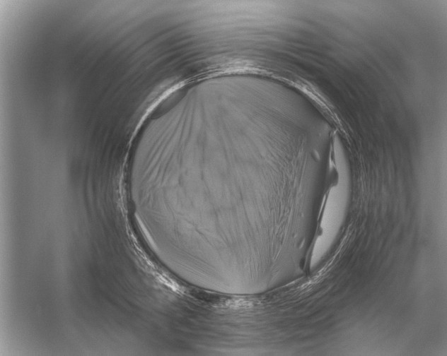 X0000056000806200509162316