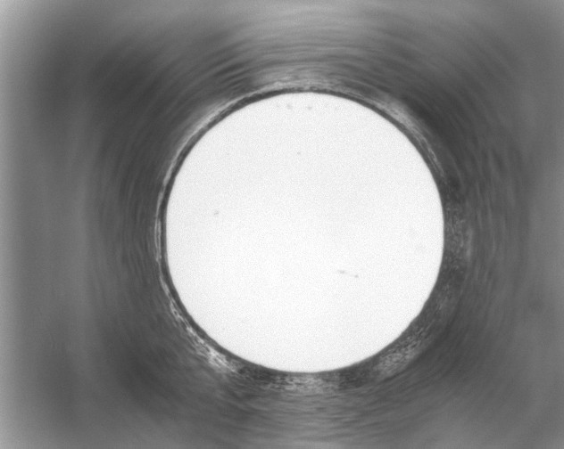 X0000056000807200509162316