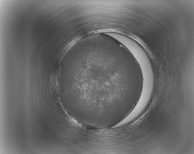 X0000056000809200509162316