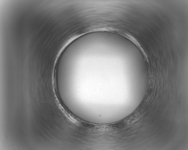 X0000056000811200509162316