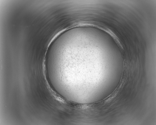 X0000056000814200509162316