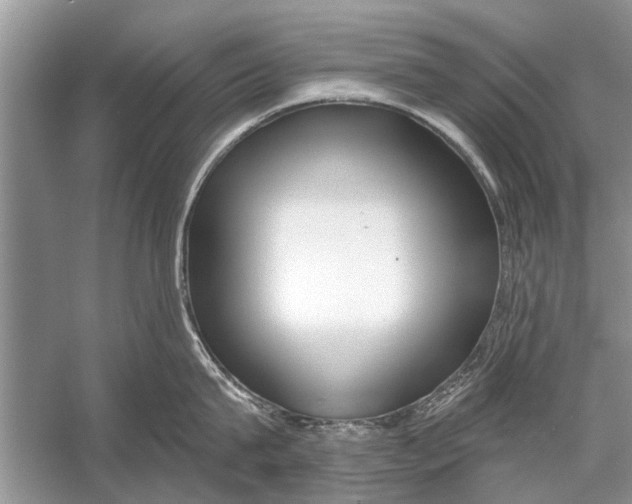 X0000056000815200509162316