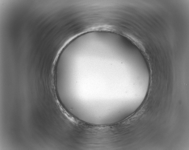 X0000056000816200509162316