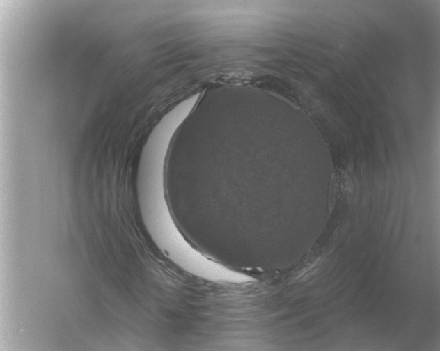 X0000056000818200509162315