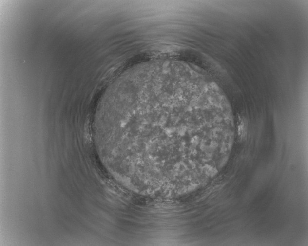 X0000056000819200509162315