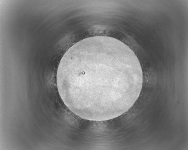 X0000056000820200509162315