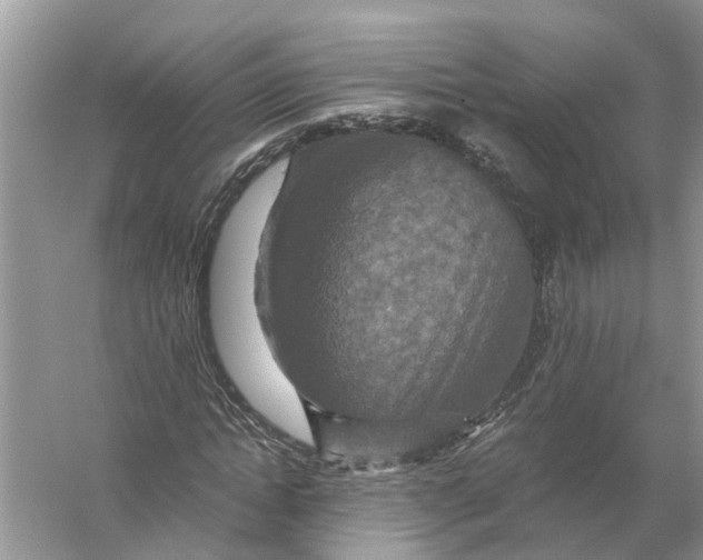 X0000056000822200509162315