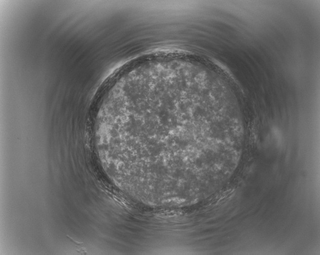 X0000056000823200509162315