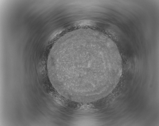 X0000056000824200509162315