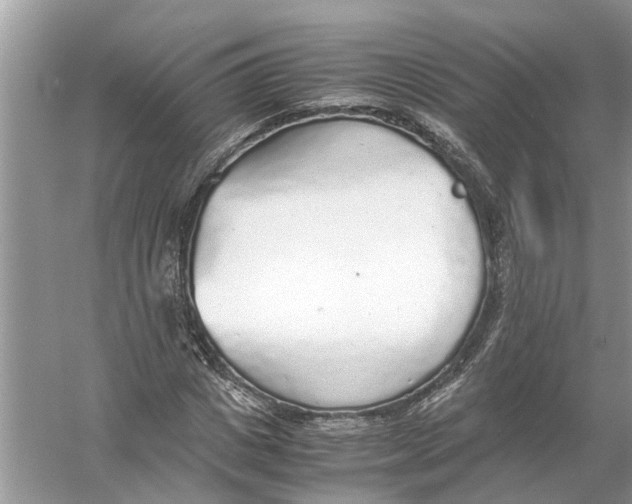 X0000056000825200509162315